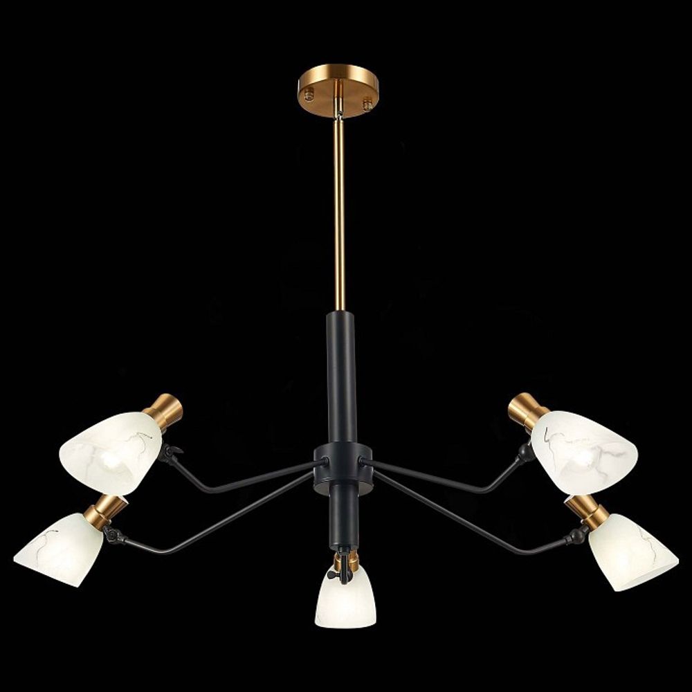 Люстра на штанге EVOLUCE Lita SLE205403-05