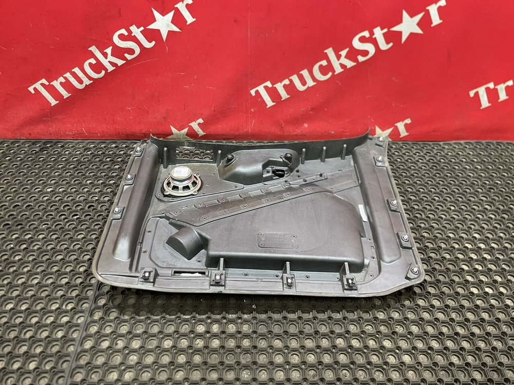 Обшивка двери левой 2023г.