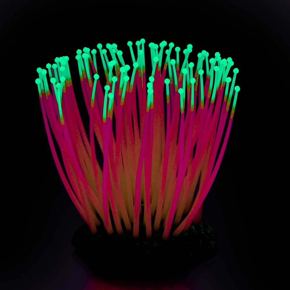 Gloxy декорация флуорисцентная "Морской анемон" розовый 9,5х8,5х9см