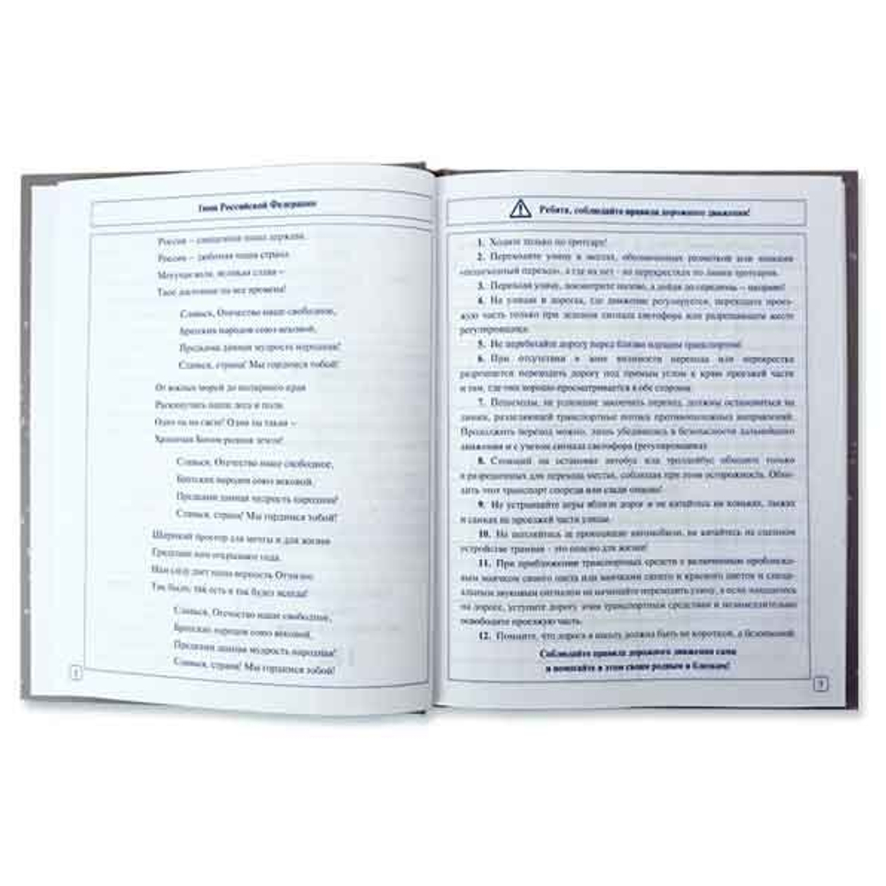 Дневник для младших классов, 48л. Апплика "Милые зверята", 7БЦ, тиснение фольгой