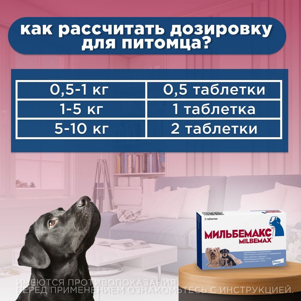 Таблетки против гельминтов Мильбемакс глистогон для кошек до 2кг и котят