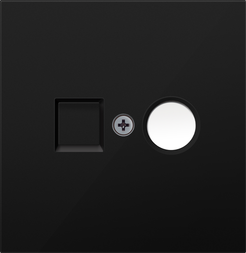 Накладка TV/SAT розетки, матовый карбон, серия R98