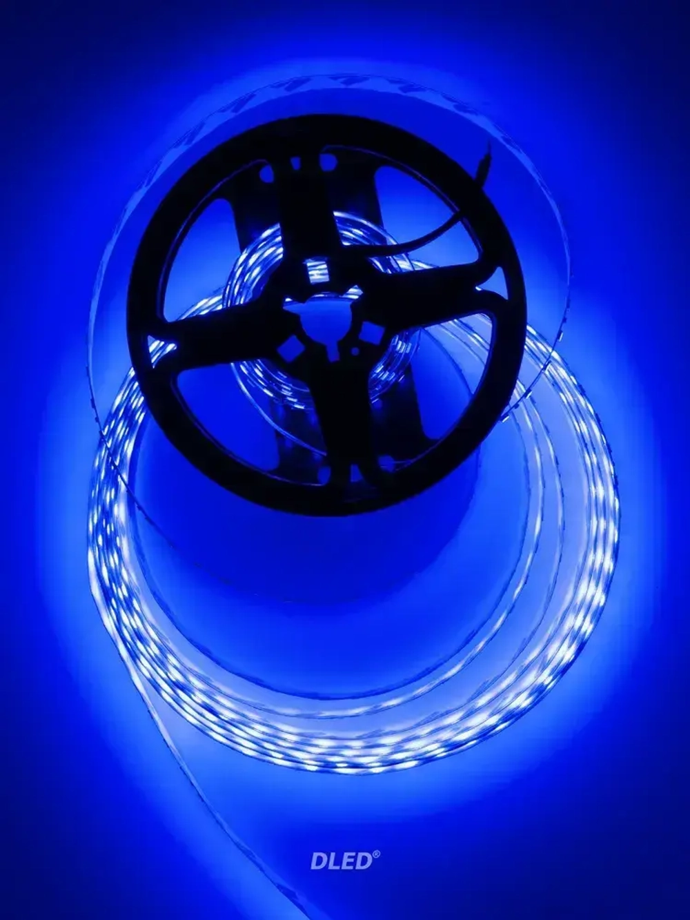 Светодиодная лента синяя длина 5м IP22 SMD 2835 120led/m 12V DC 48W от DLED