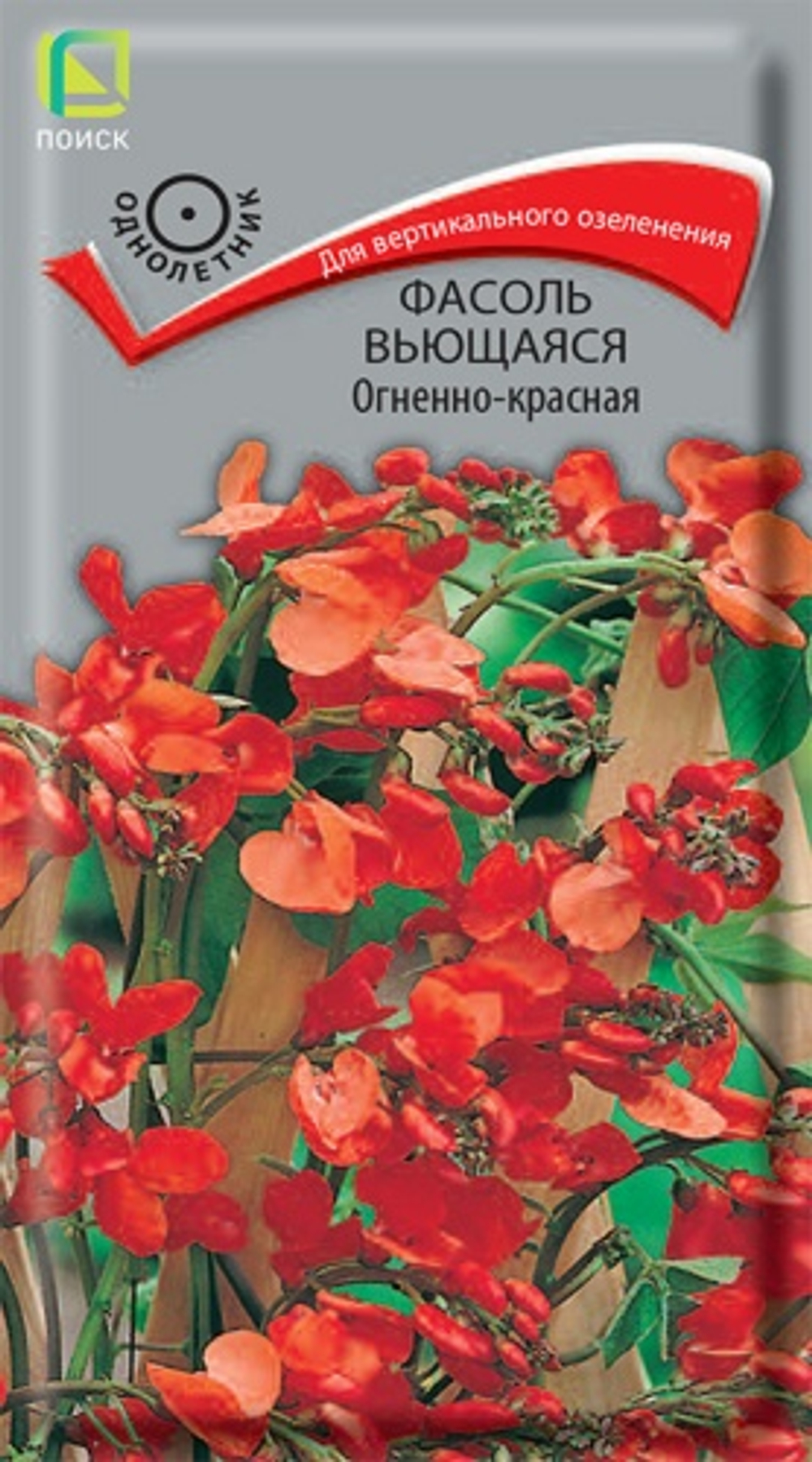 Фасоль вьющаяся Белая (Поиск)