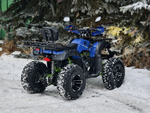 LION 200 LD синий