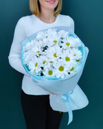 Кустовая хризантема"Ромашка",5 веток(00156)