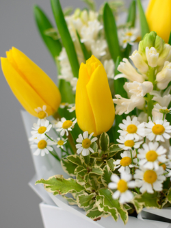 Весенний лучик