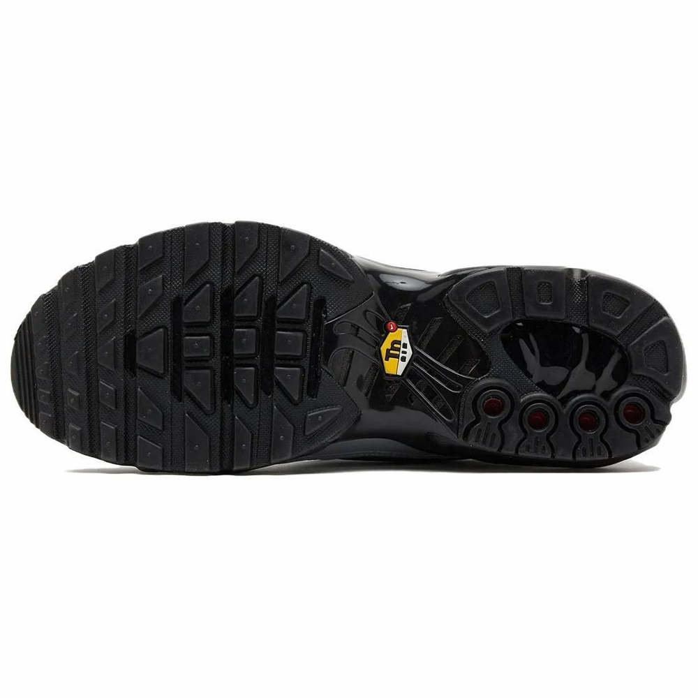 Кроссовки Nike Air Max Plus Tiempo