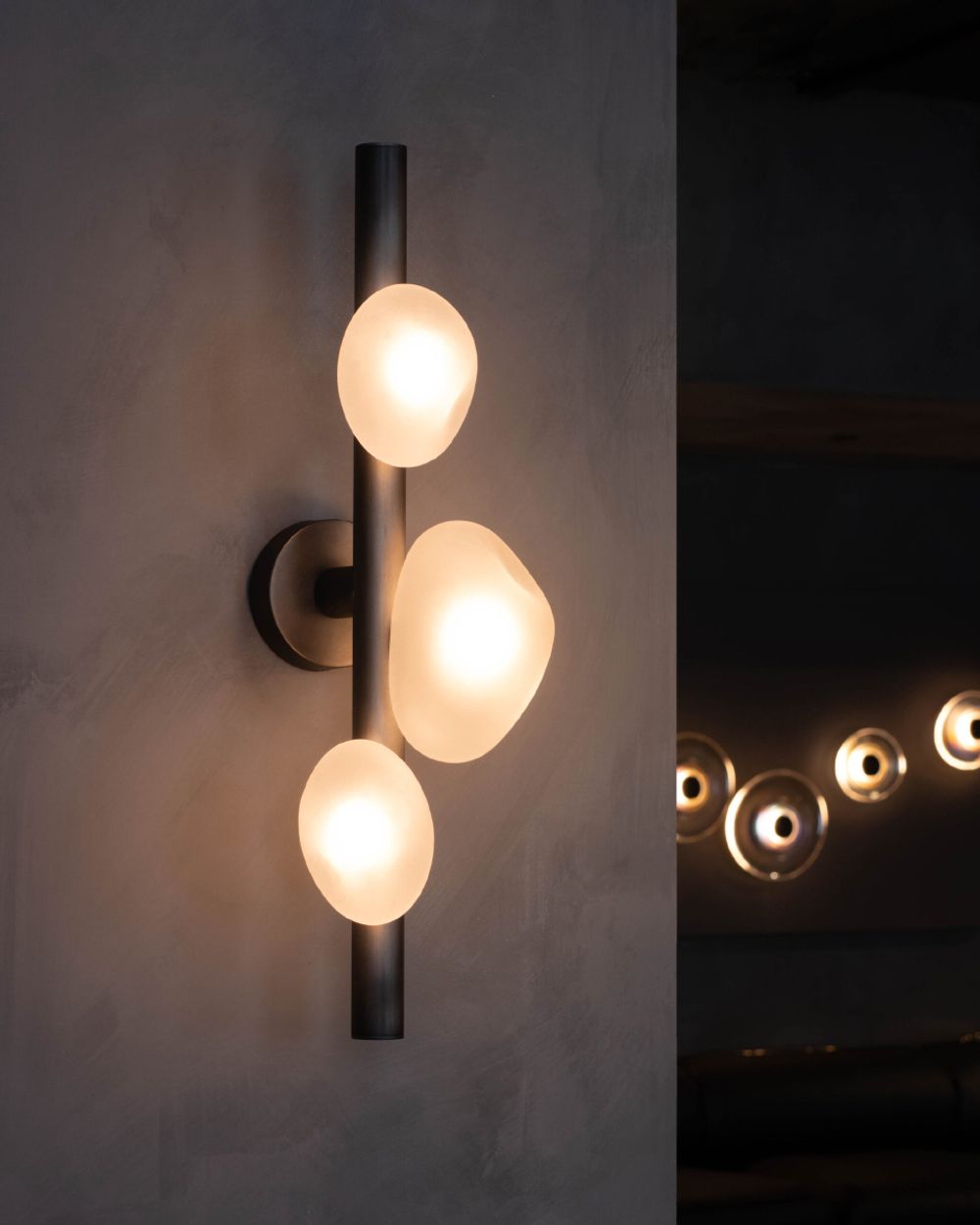 Настенный светильник 5055W/3 black/white