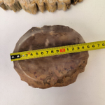 Набор из окаменелого дерева 4 предм Fossil Set NF-63297 поднос 149