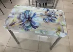 Стол стеклянный с фотопечатью (подстолье прямое раздвижное белое )