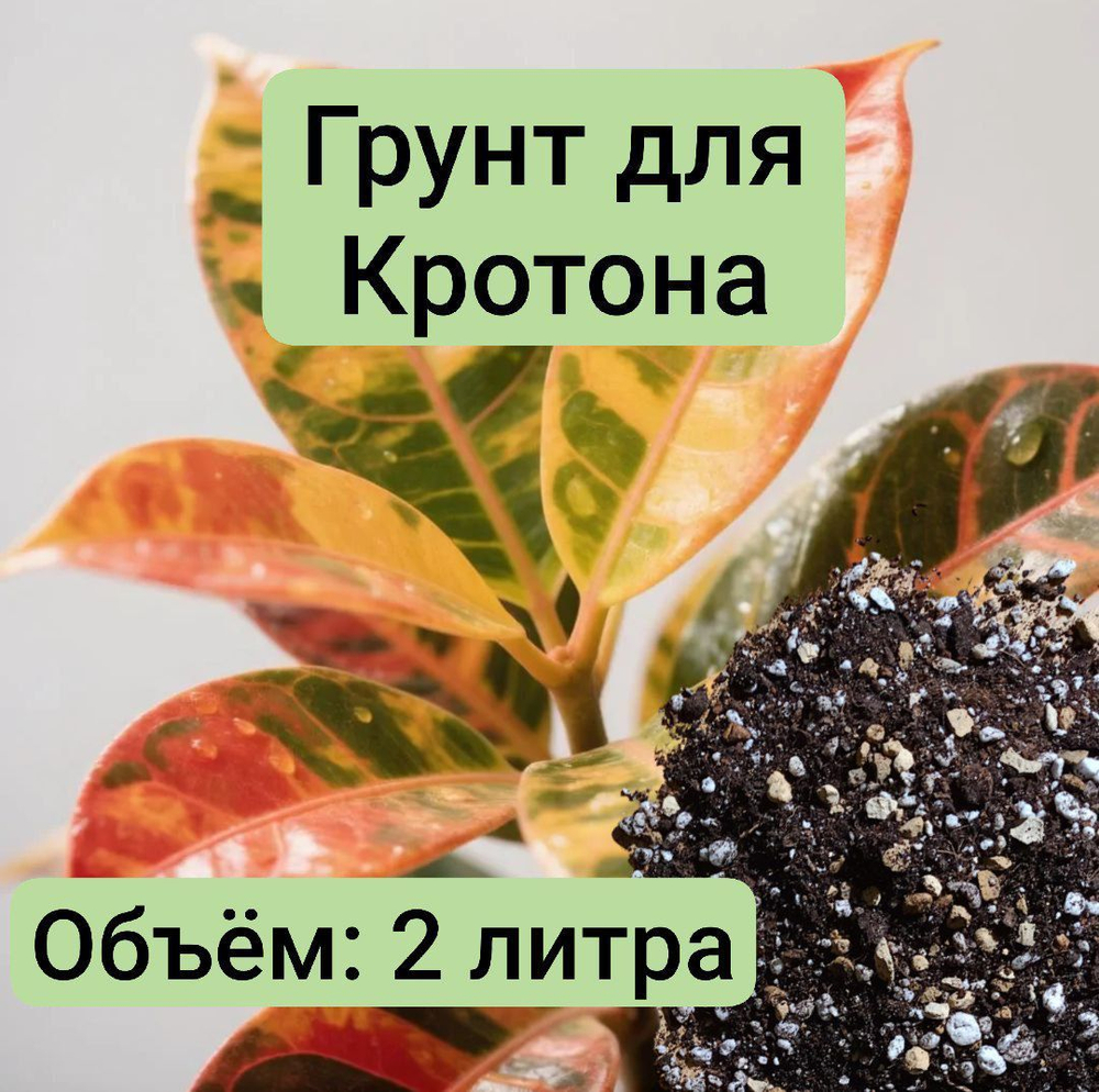 Грунт для Кротона 2 л грунт универсальный 2 литра грунта для Кротона