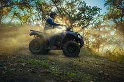 Квадроцикл KAWASAKI Brute Force 450 4x4 (2025)