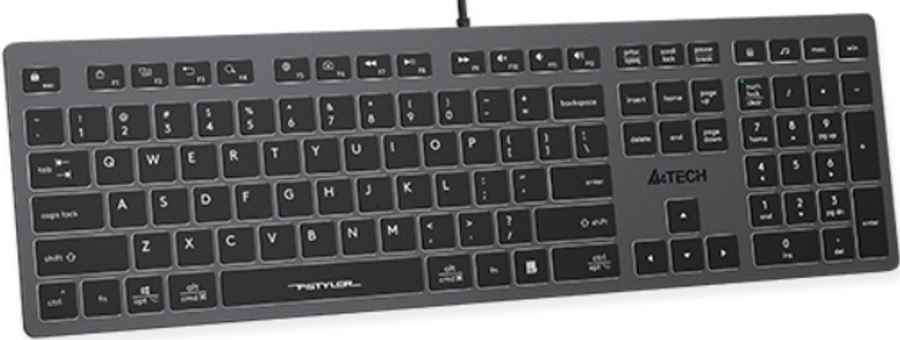 Клавиатура  A4Tech Fstyler FX60