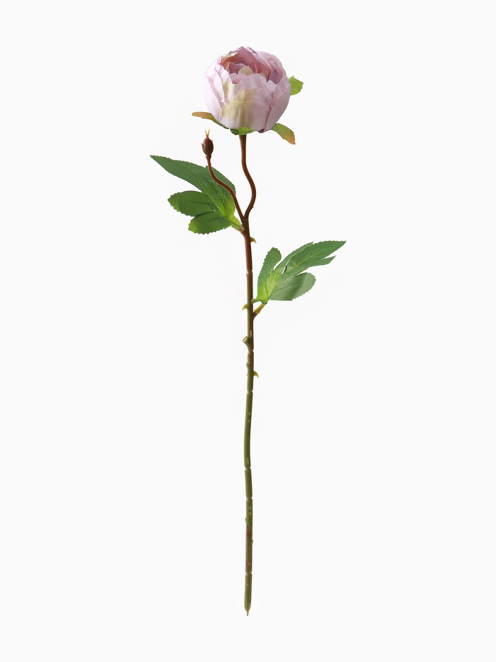 Цветы искусственные «Пышный пион», 7×47 см, сиреневые