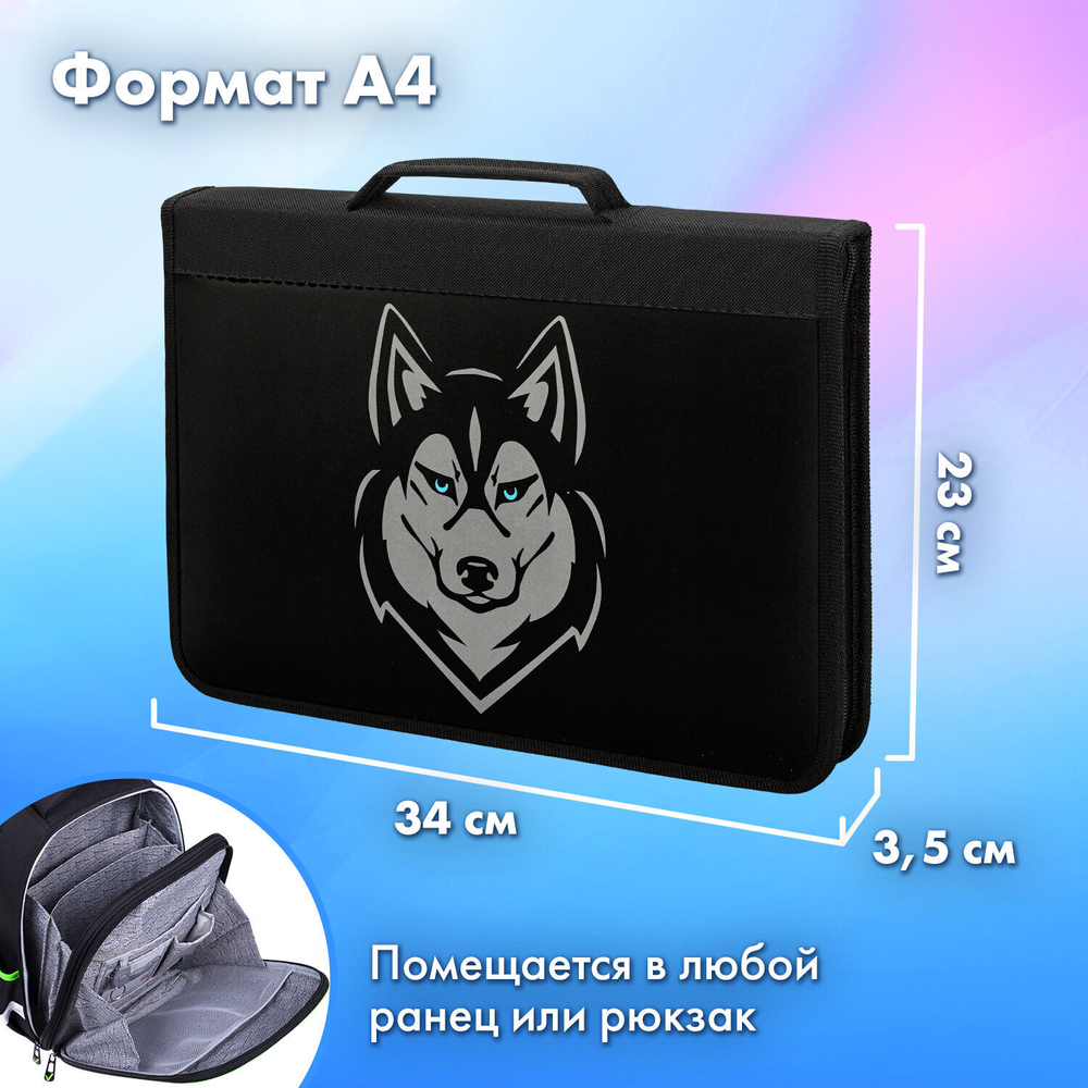 Папка на молнии BRAUBERG А4 с ручкой с органайзером 1 отделение "Husky" (2 штуки в упаковке)