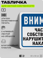 Табличка для частной территории "Частная собственность, нарушители будут наказаны", на дом, для участка, организаций, предупреждающая, 40х30 см, Silver Plane x Айдентика Технолоджи