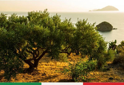 Оливковое масло BARBERA Extra Virgin D.O.P. Val di Mazara," CASTELLO di RESULTANO" , 750 мл Италия