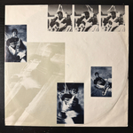 Sting - The Dream Of The Blue Turtles (Европа 1985г.)