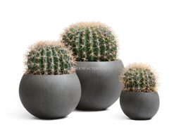 Кашпо TREEZ Effectory - Beton - Полусфера - Темно-серый бетон