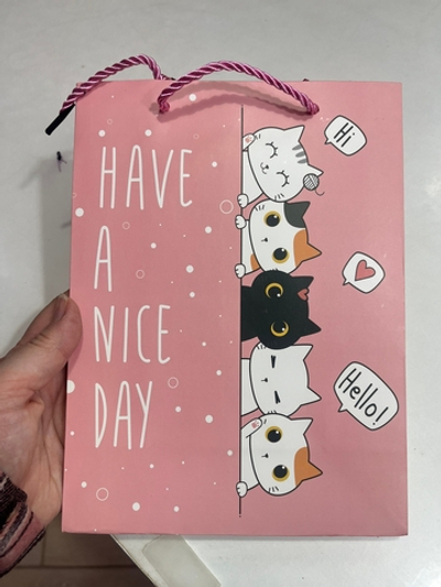 Пакет 18х24х8,5см Кошки Meow 141V-860