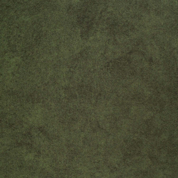 Велюр Jaguar (Ягуар) 12