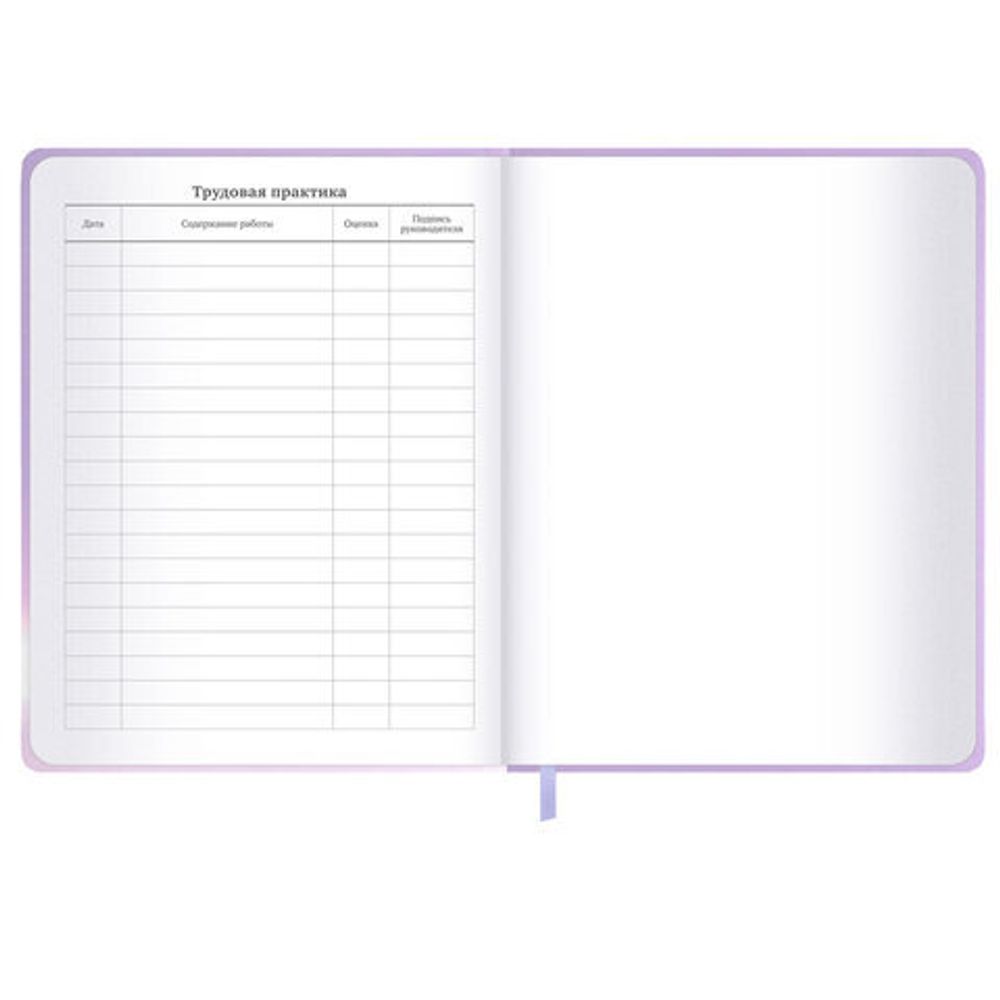 Дневник 1-11 класс 48 л., обложка кожзам (твердая с поролон), 3D-элемент, BRAUBERG, "Суровый кот", 107221