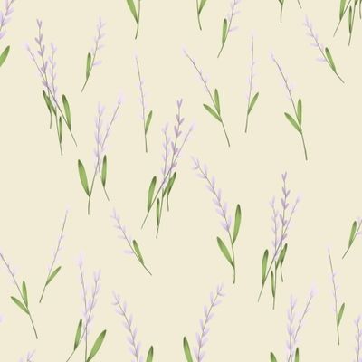 Цветы лаванда