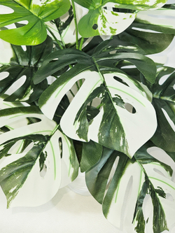 Искусственная Монстера Альба 55см в кашпо
