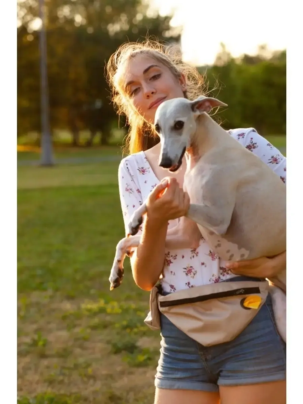 Сумка на пояс, сумка для лакомств собак