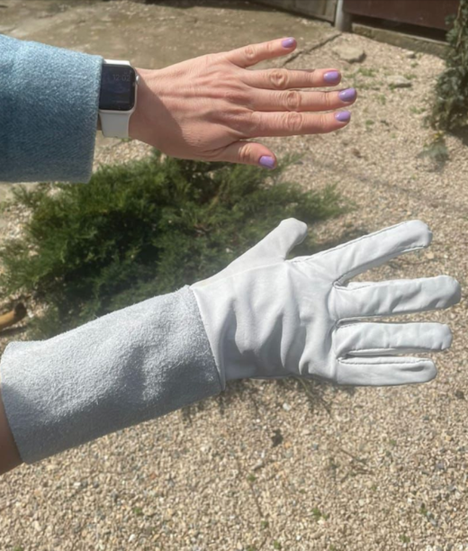 Перчатки размер 7 Закупка М26 получение март 2026