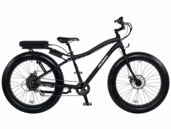 Электрофэтбайк El-sport bike TDN-01 500W