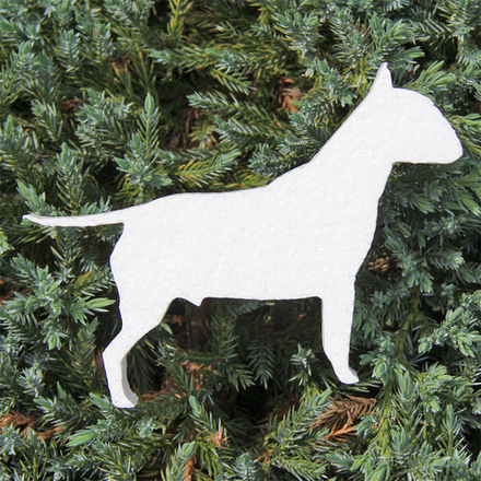 5 Бультерьер