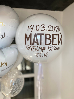 Воздушные шары №431