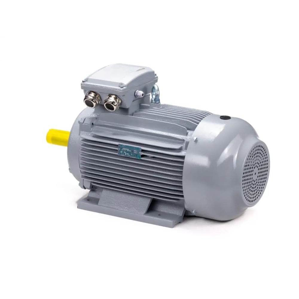 Электродвигатель ESQ PR 160 M6 GST-Б1-S12-IE2 15/1000 IM2001