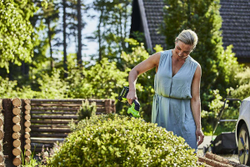 Ножницы-кусторез GREENWORKS 24 V без акб и з/у   1600607