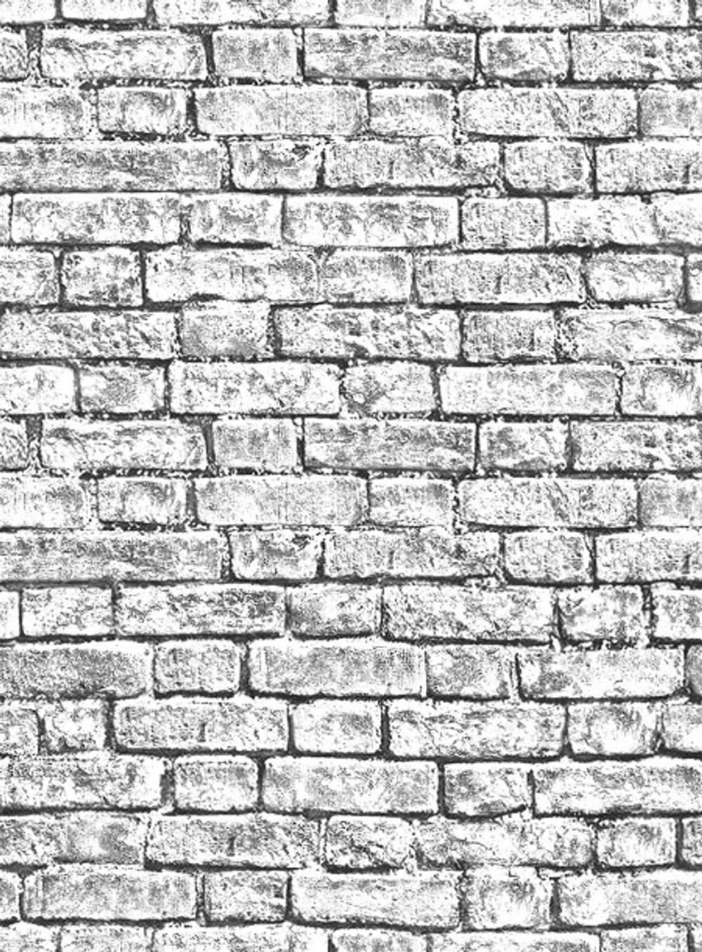 Дакота фон - 21 светло-серая