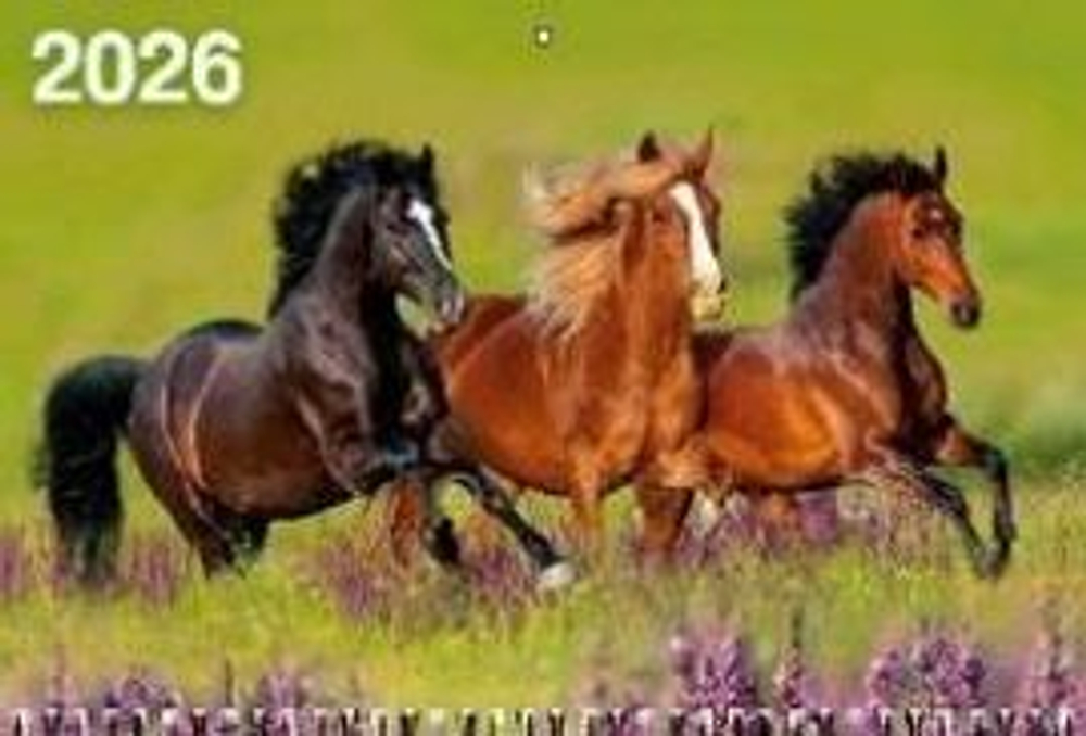 Календарь Трио 310*680мм на 2026г. Год Лошади. Вид 5