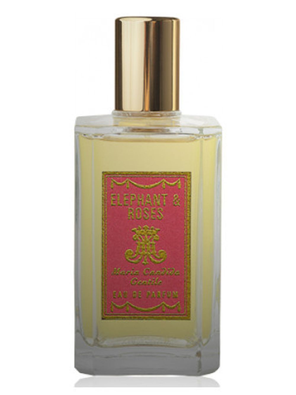 Maria Candida Gentile Elephant and Roses