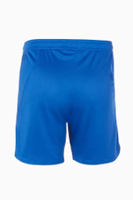 Шорты Nike Team Handball Court