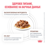 Royal Canin Gastrointestinal Гастроинтестинал Корм влажный диета для взрослых кошек при расстройствах пищеварения 85г