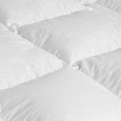 Одеяло теплое 200х220 DaunenStep Neostep 400 Gold Winter