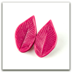 Лист молодого вяза