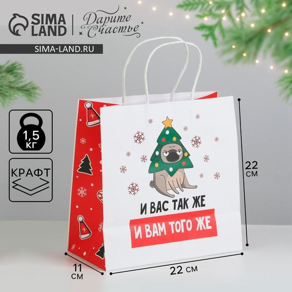 Пакет подарочный "А вас также" 22×22×11см (Дарите Счастье)