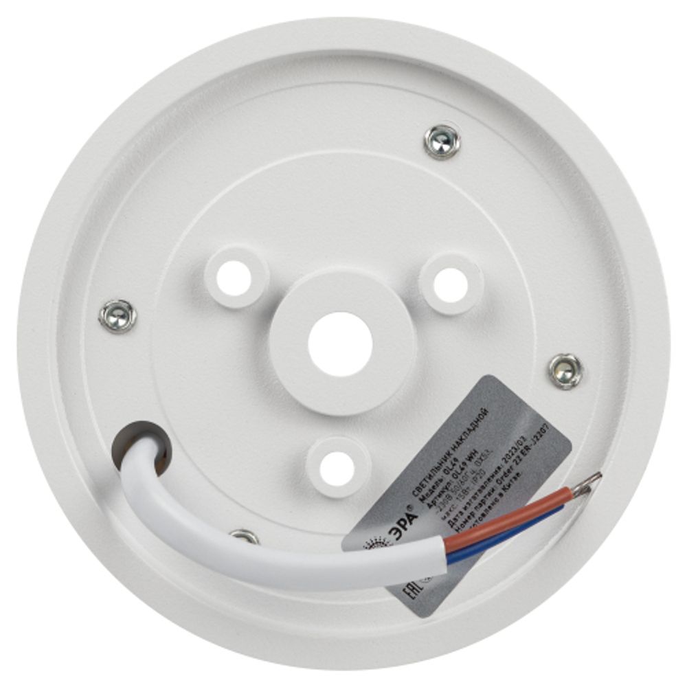 Светильник настенно-потолочный спот ЭРА OL49 WH GX53 IP20 белый