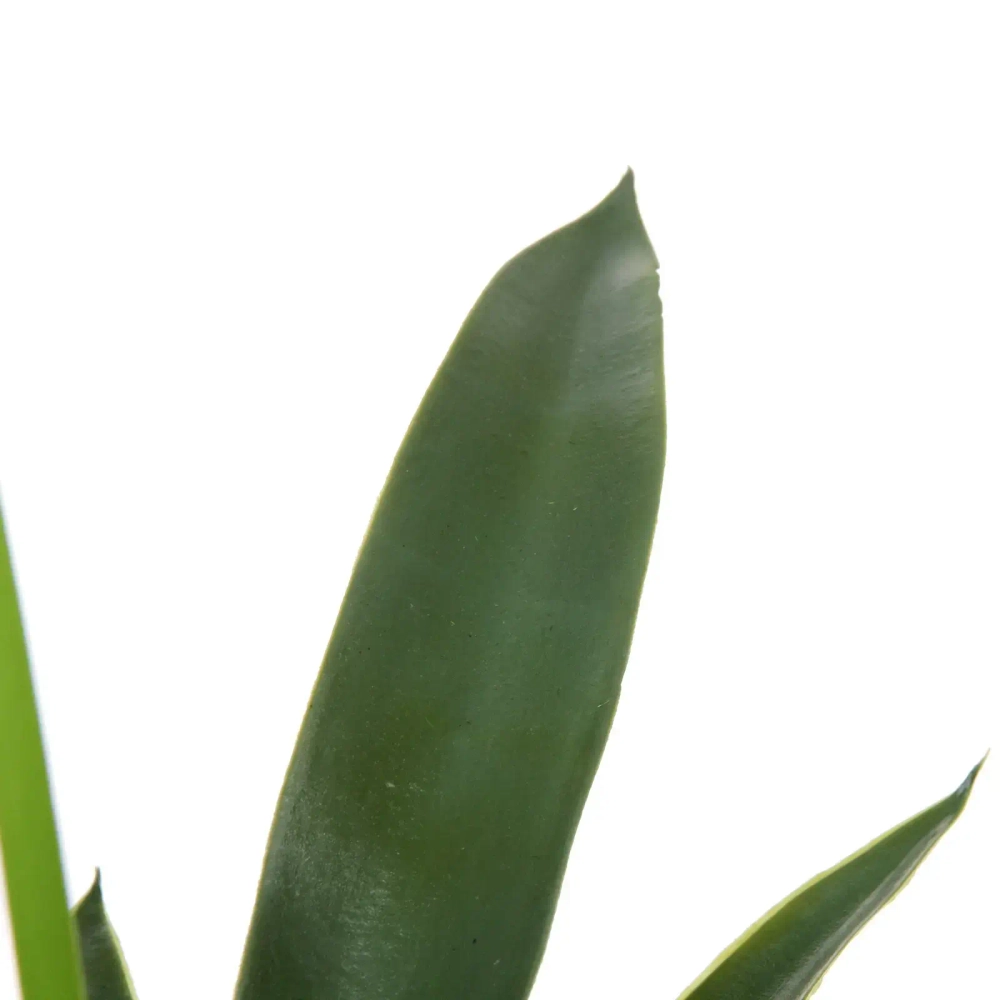 Дерево искусственное «Агава» 100см