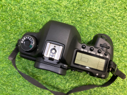 Canon EOS 5D Mark II (12.980 кадров)