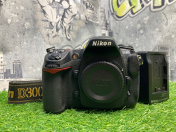 Nikon D300 (46.400 кадров)