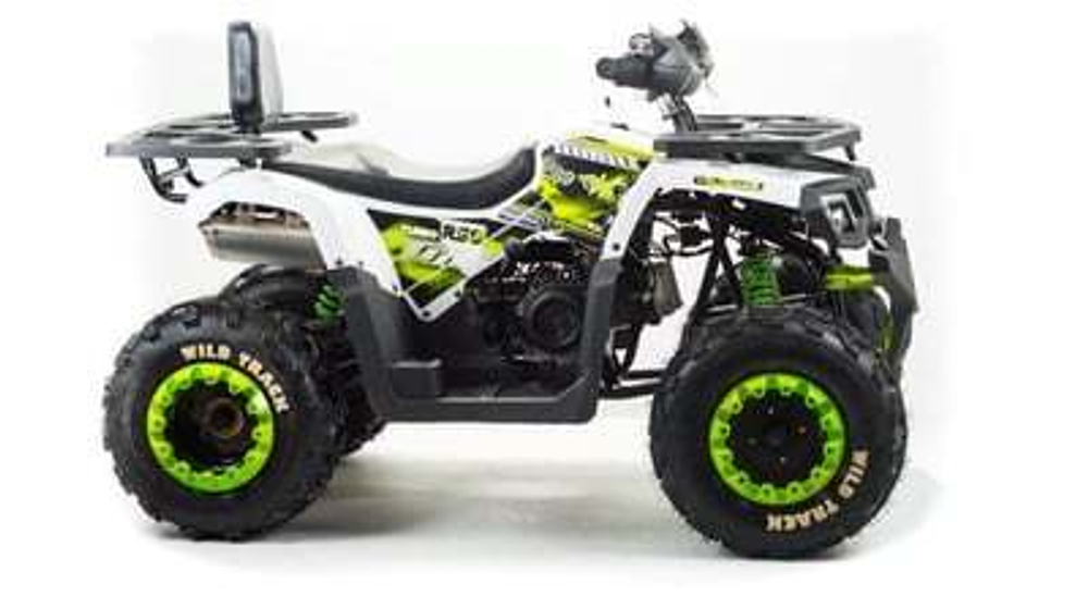 Квадроцикл Motoland ATV 200 WILD TRACK