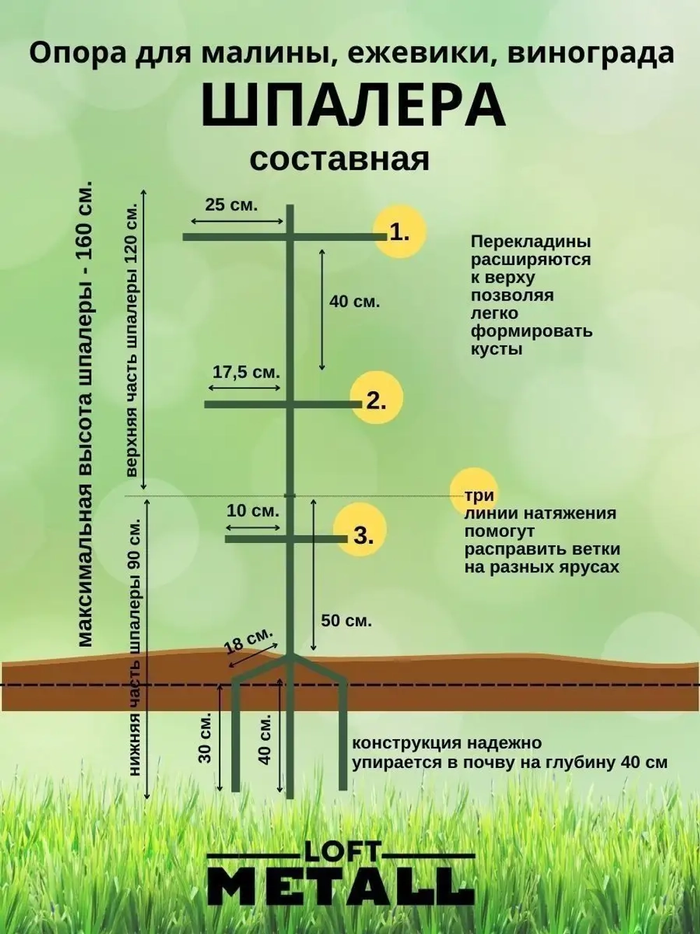 Шпалера садовая для малины и ежевики